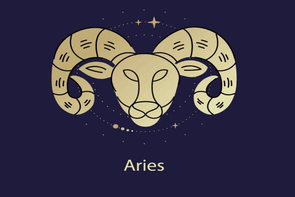 Tarot do dia: previsão para os 12 signos em 24/08/2026