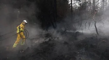 Incêndios na Europa. Casal de idosos morre na Grécia e chuva ajuda no combate ao fogo na Bélgica