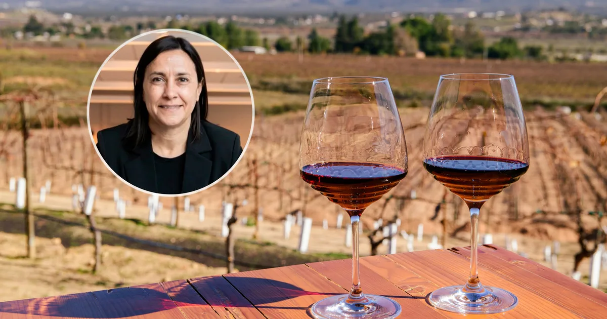 Día Mundial del Pinot Noir: por qué una enóloga cree que esta variedad puede destronar al Malbec en los nuevos hábitos de consumo