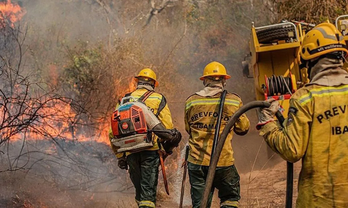 Governo reconhece estado de emergência em 36 cidades do Amazonas por avanço de incêndios