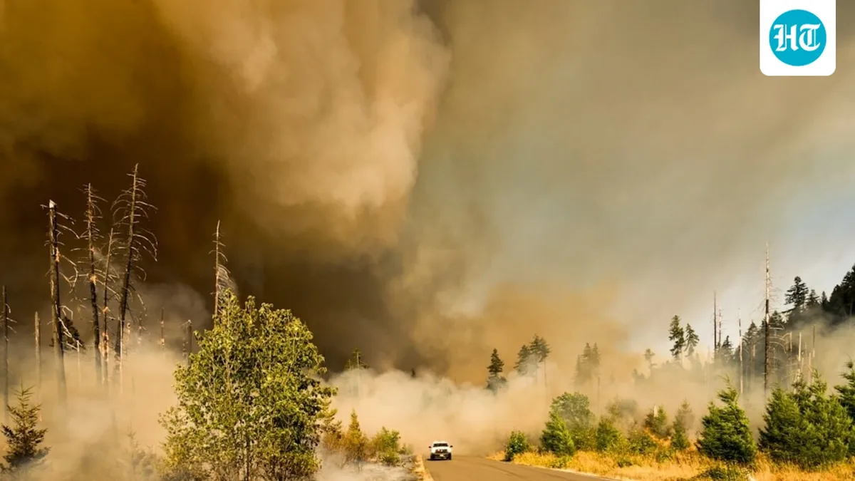 Where is the fire in Reno today? Location, map, latest updates as Hawk Fire moves closer to Lemon Valley; videos emerge