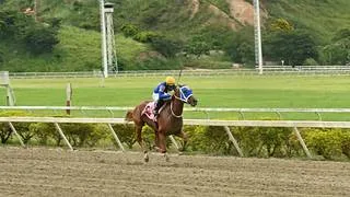 “Piensan en Big”: La hazaña de este domingo del Stud Big Valdi en La Rinconada