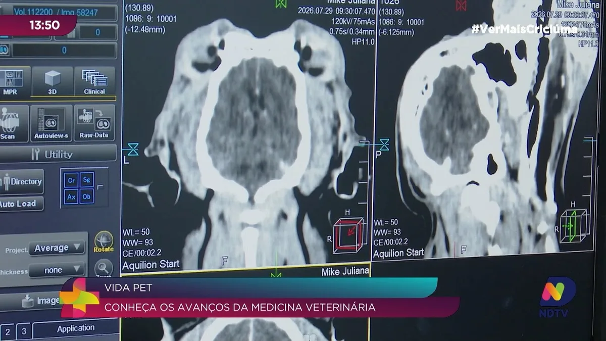 Medicina veterinária ganha tecnologia para cuidar dos pets