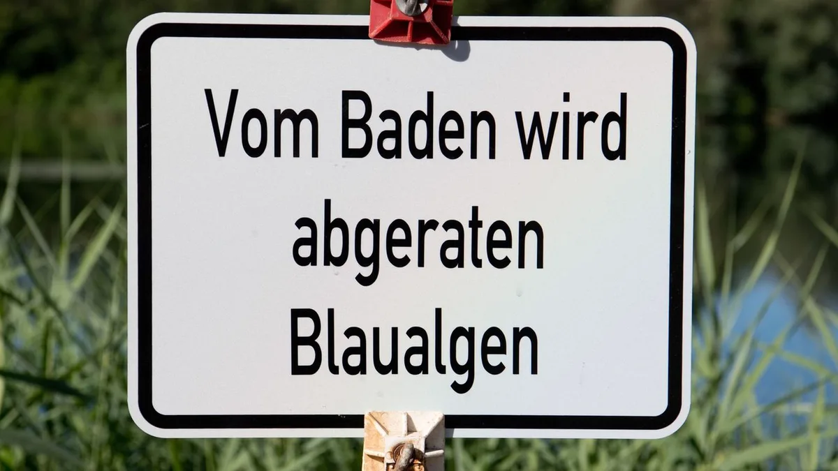 Lieber nicht baden: Badewarnung nach Fischsterben in Weiher bei Kulmbach