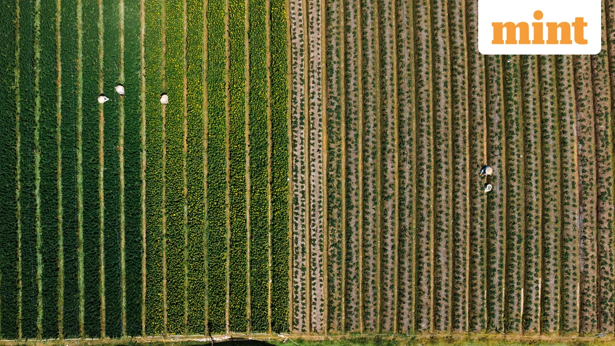 Can you claim Section 54F tax exemption on sale of inherited agricultural land? Here's what expert says