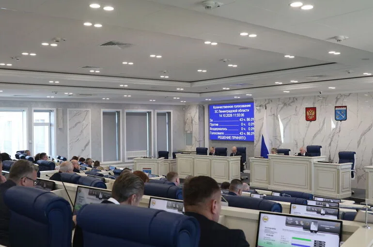 Депутаты Ленинградкой области сформировали рабочие органы