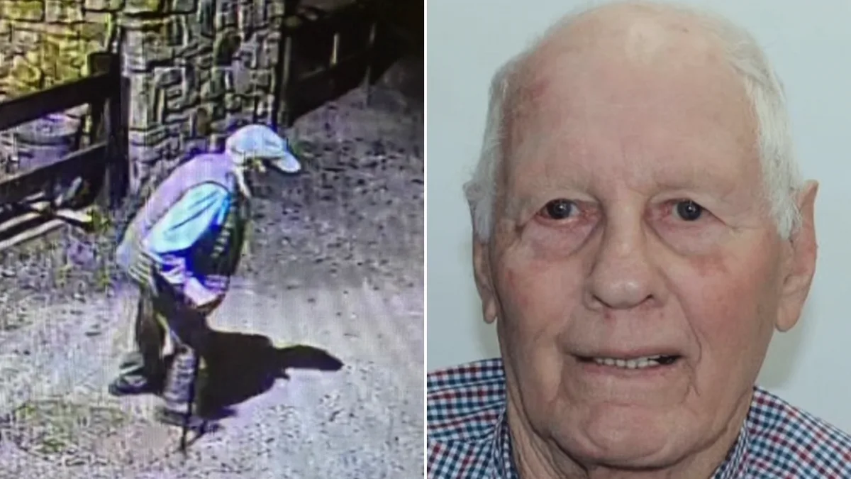 Missing Victorian man John Bakkum, 85, found alive down embankment in Mitta Mitta, northeast Victoria