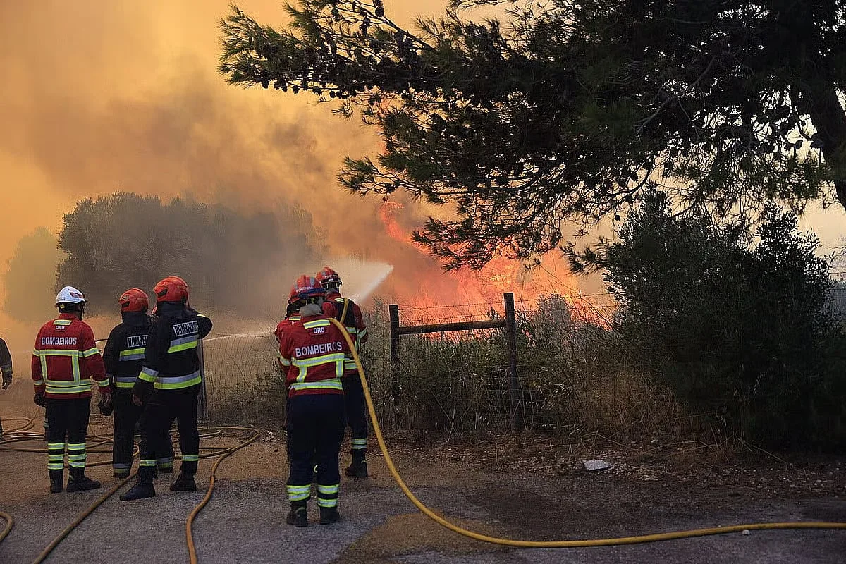 Fogo em Arouca em fase de resolução