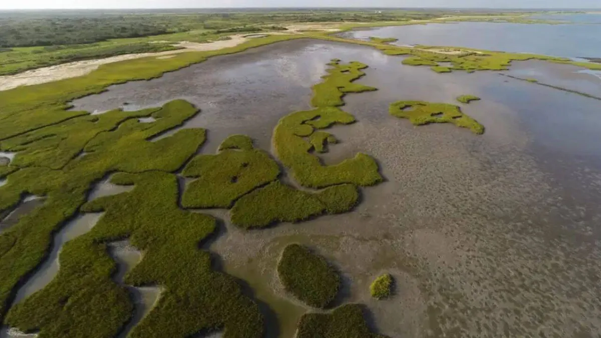 In 2014, Texas bought 17,351-acre Powderhorn Ranch; 15,000 acres later became a wildlife area