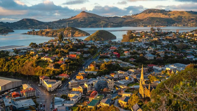 Clever, cool and quirky, is this New Zealand’s most underrated city?