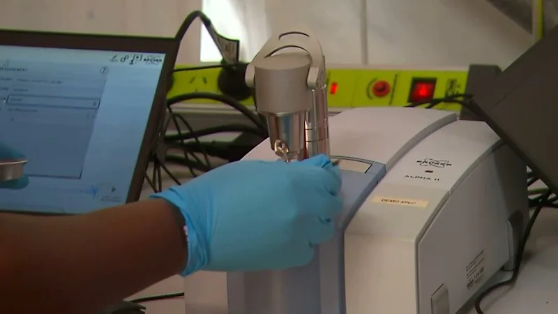 Pill testing at NSW music festivals