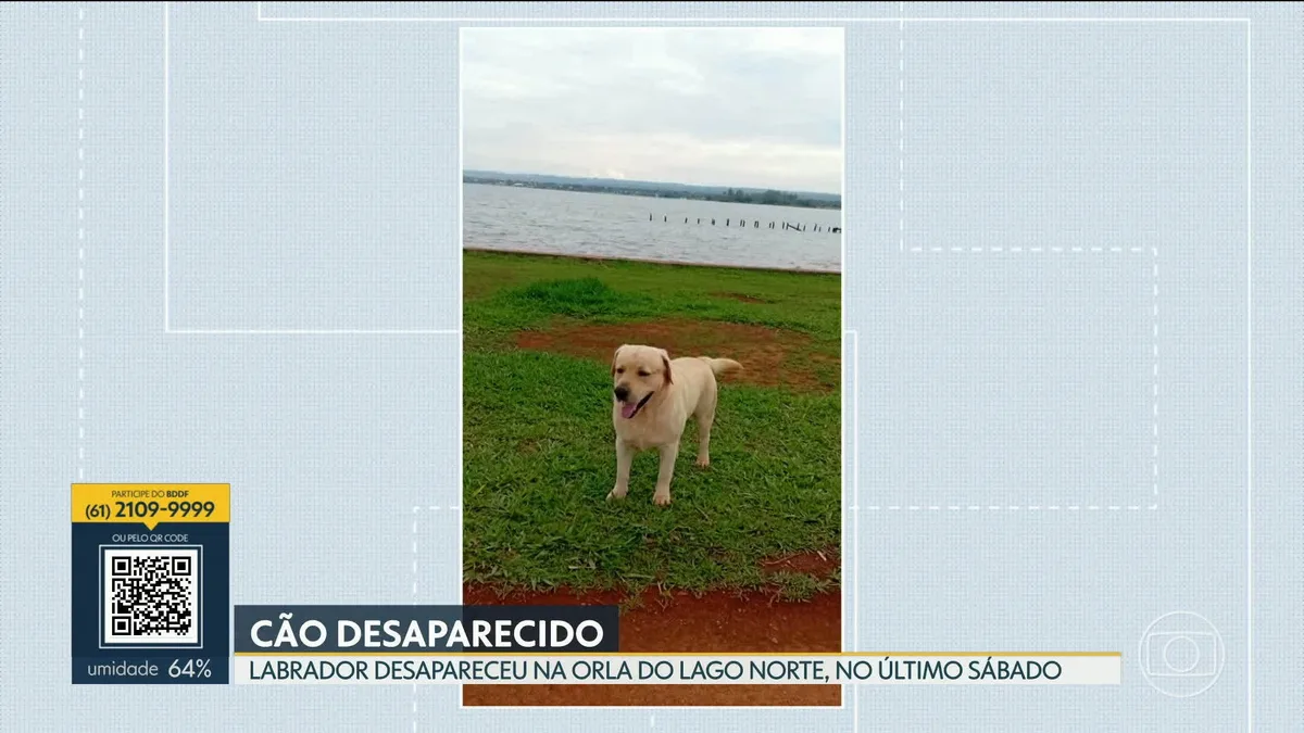 VÍDEOS: Bom Dia DF de quinta-feira, 8 de outubro de 2026