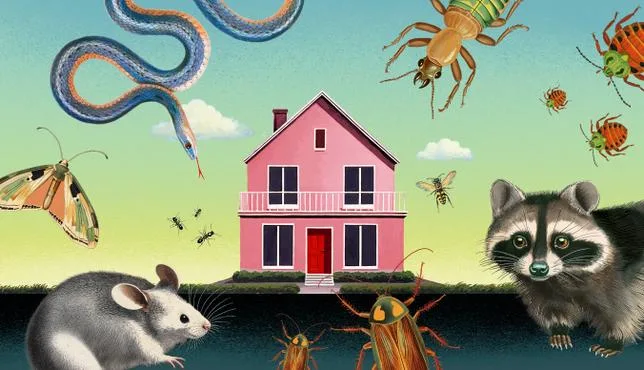 Que ferait une couleuvre à ma place ? J’ai rampé dans la nature pour le découvrir