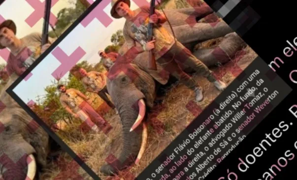 Imagem de Flávio Bolsonaro com elefante morto foi gerada com IA