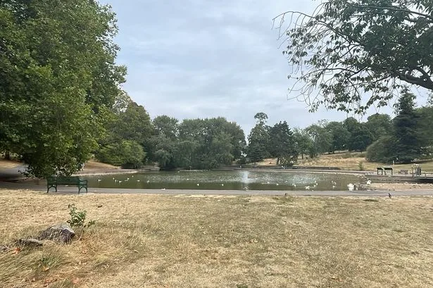 Warning over 'outbreak' of rare illness which can kill humans at Bristol park