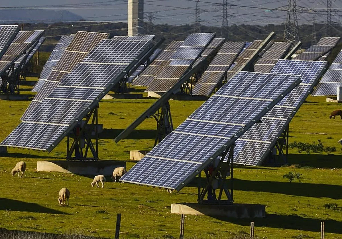 El campo carga contra el exceso de paneles solares mientras se tira energía renovable a la basura