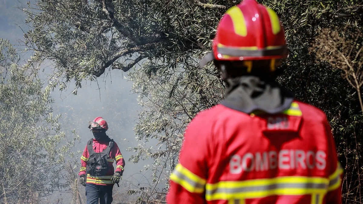 Sete concelhos em perigo máximo de incêndio. Fogos em Boticas e Arouca continuam a mobilizar operacionais