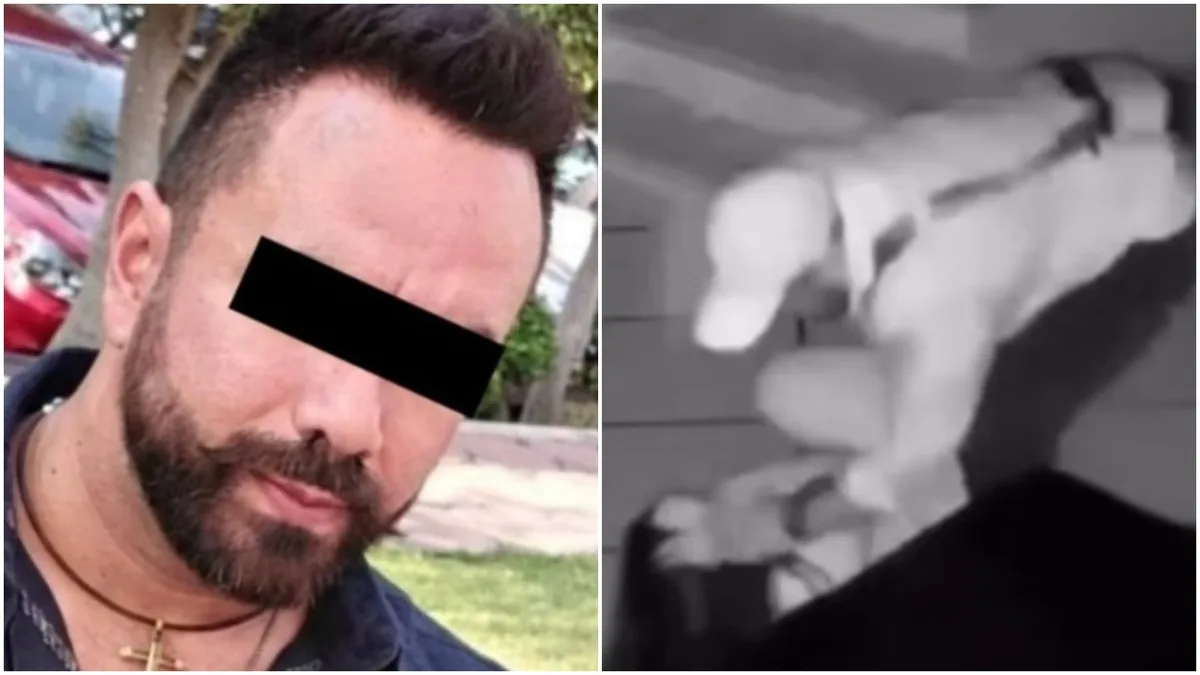 Procesan a ex esposo de Paula Fajardo por violación en Morelos