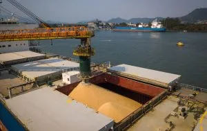 ICTSI recorre ao Cade contra aval a acordo sobre Porto de Santos