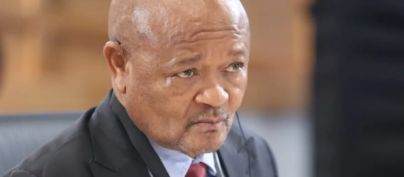 Parliamentary ad hoc committee clears Mchunu of ‘Cat’ Matlala links