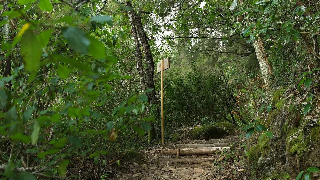 Senhora da Alegria: a bio-reserva quase secreta às portas de Coimbra