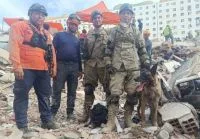 Como cães farejadores ajudam a encontrar sobreviventes em terremotos