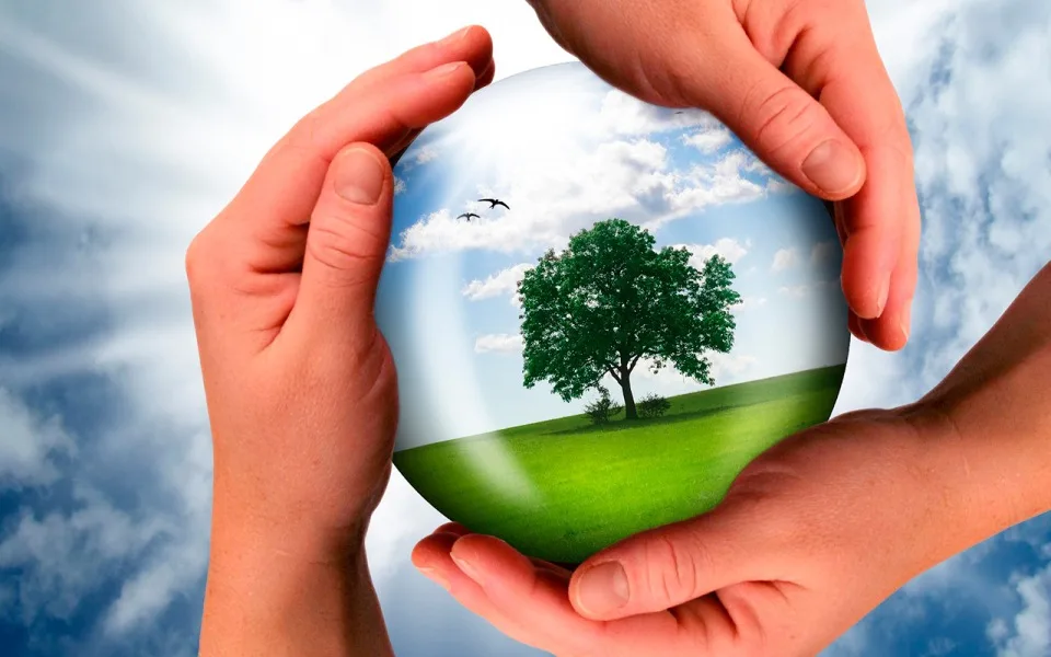 EUA ameaçam responder se Bruxelas não limitar impacto da diretiva europeia de sustentabilidade