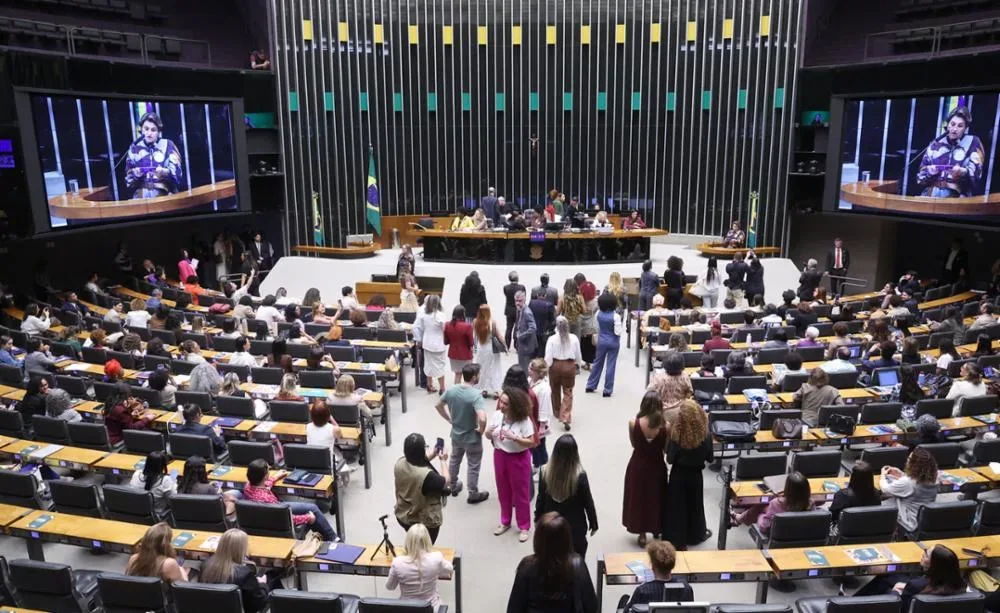 Enfrentamento à violência contra mulheres é luta política, econômica e cultural, destaca parlamentar