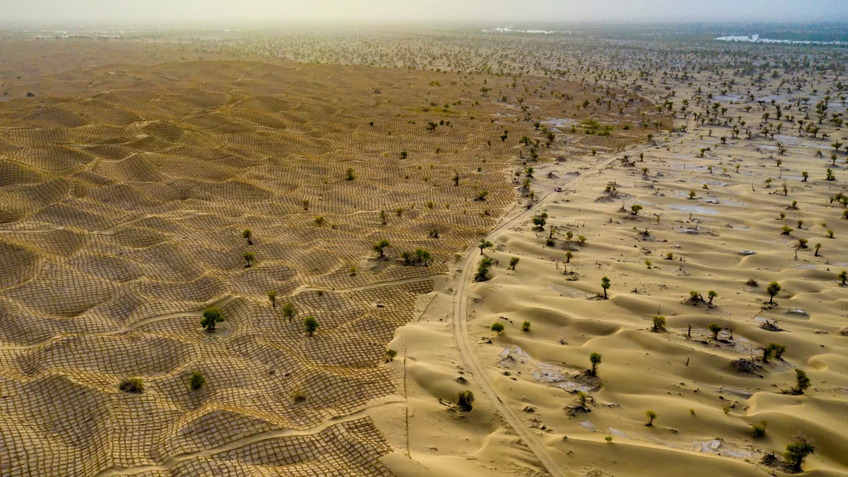 Photos: Fighting Against Desertification in China