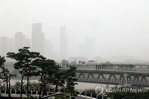 세종에 시간당 50㎜ 집중호우…시설물 침수 16건·인명피해 없어