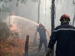 Incendies en France : 474 interpellations, dont 183 mineurs, depuis le début de la saison des feux