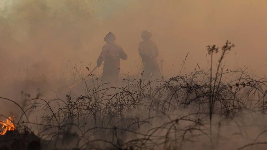 Mais de 100 operacionais e quatro meios aéreos combatem incêndio em Odemira