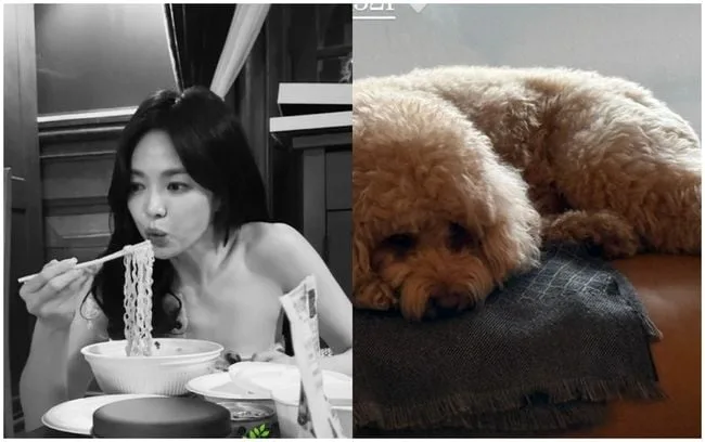 송혜교, 핑클 이진과 여전하네···원조 얼짱女들의 우정