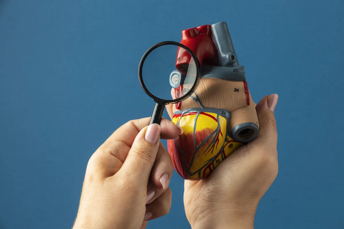 O que é cardiomiopatia? Conheça tipos, sintomas e tratamentos