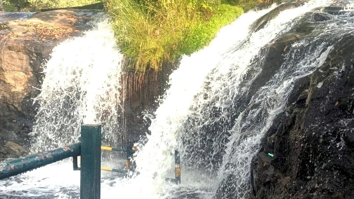 Kumbakkarai waterfalls open for public