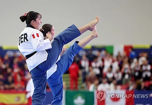 세계 품새 고수 2천269명 춘천서 열전…경제효과도 '톡톡'