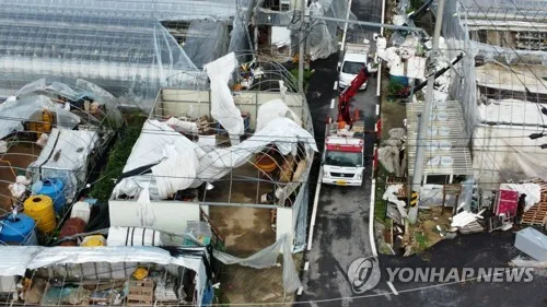 돌풍에 비닐하우스 피해 속출한 부여…'강한 비바람 또 온다'