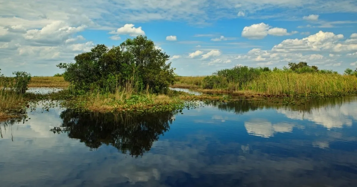 Científicos de EE.UU. van a Florida por un tesoro natural: cómo miden la calidad del agua potable que consumen más de 23 millones de personas