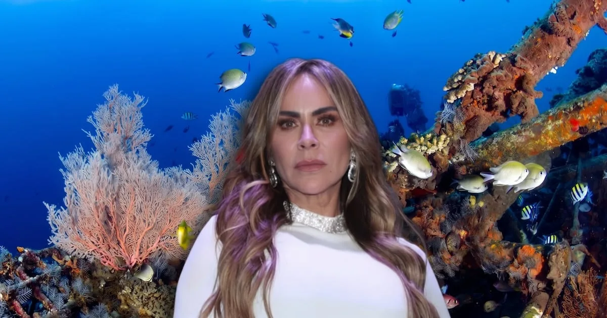 Aylín Mujica depositará las cenizas de su hijo en un cementerio bajo el mar: ¿Cómo es Neptune Memorial Reef?