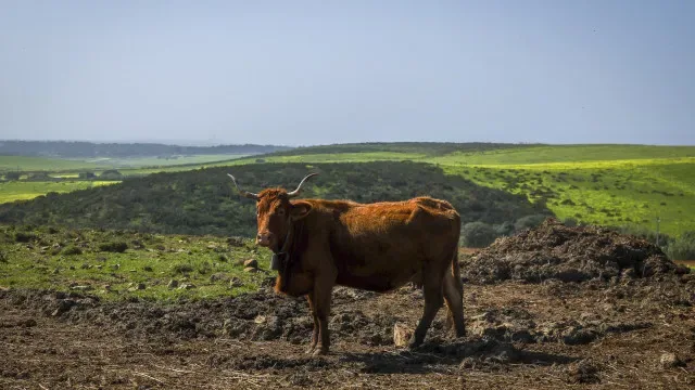Brasil e Angola celebram acordo para desenvolvimento do agronegócio