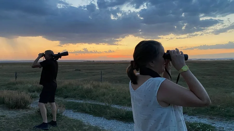 Naturtrip im Seewinkel: Steppe, Salzseen, Safari-Feeling: Österreichs wilder Osten