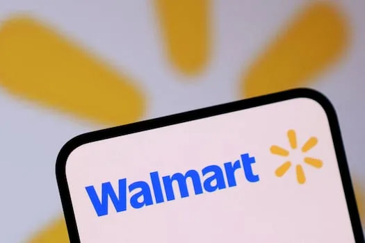 Walmart warns US shoppers feel squeeze as sales growth slows