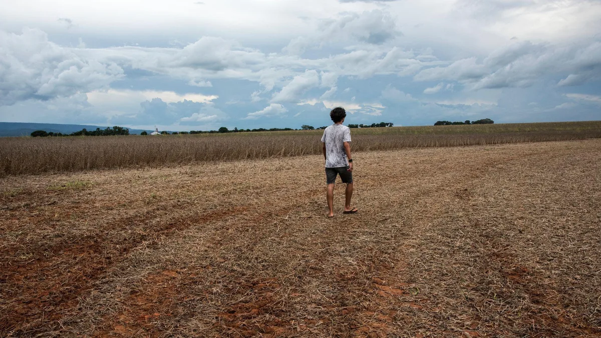 Primavera começa nesta terça: o que esperar da estação com o El Niño no Brasil