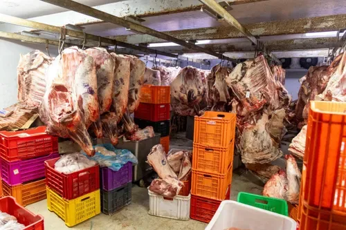 Johannesburg butchery shut down over serious labour and health violations