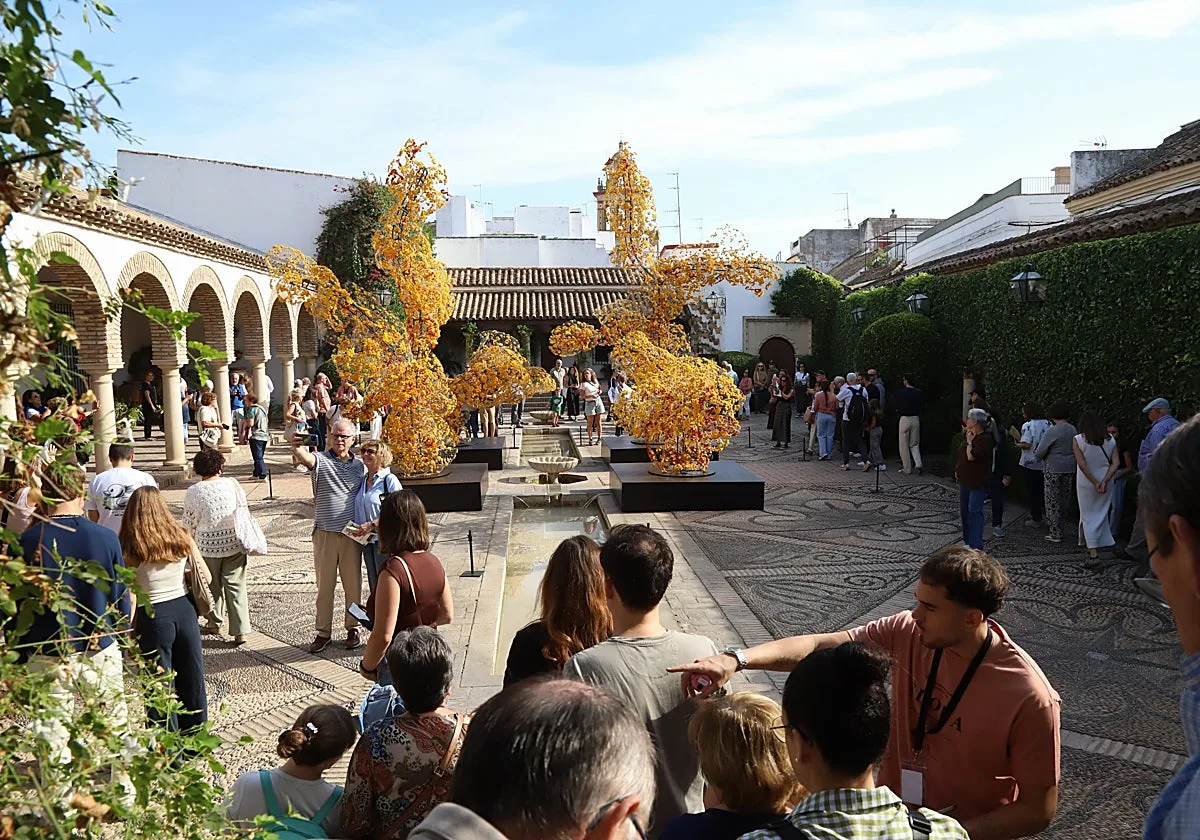 El sábado del Festival Flora hace del Casco Histórico de Córdoba un hervidero de vida
