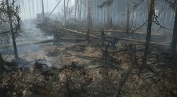 Fogo em parque natural belga já queimou quase três mil hectares