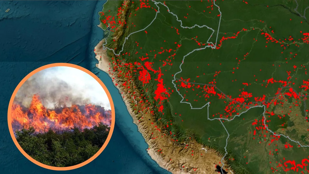 Alerta roja en el Perú por incendios forestales: la ausencia de lluvias por El Niño facilita que el fuego se descontrole