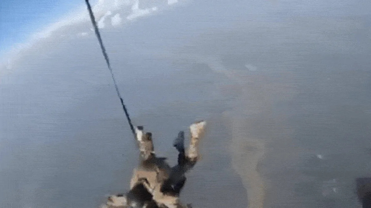 Watch: Paratrooper makes unique tandem jump with combat canine, handler
