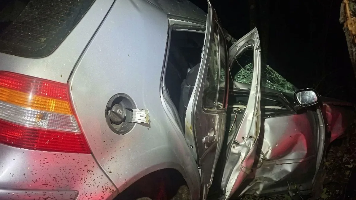 Motorista morre após carro sair da pista em curva e percorrer 25 metros até bater em árvore em SC