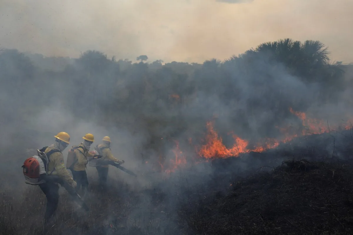 Queimadas explodem 407% e Amazonas registra pior cenário de 2026 em agosto